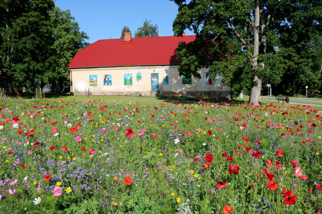 Mazsalacas puķu pļava