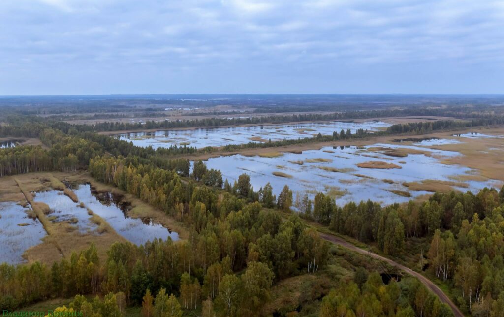 Sedas purvs no putna lidojuma