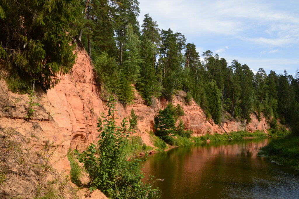 Neļķu klintis