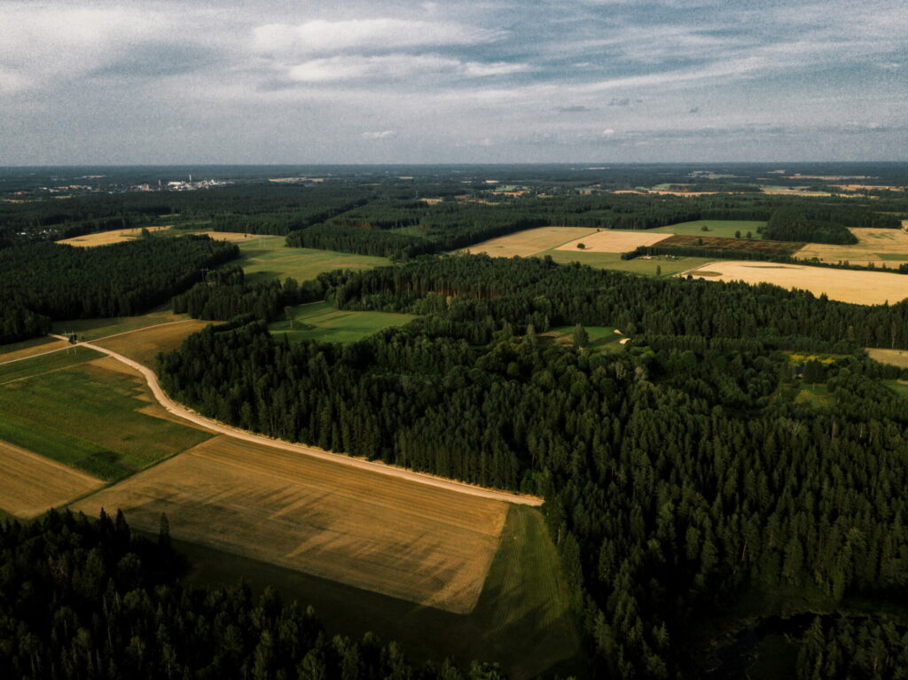 Ainava Kauguru pagastā