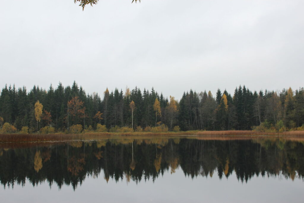 Rencēnu dzirnavezers