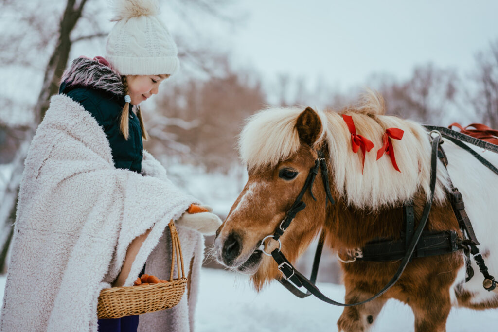 Baudi ziemas brīvlaiku Valmieras novadā!