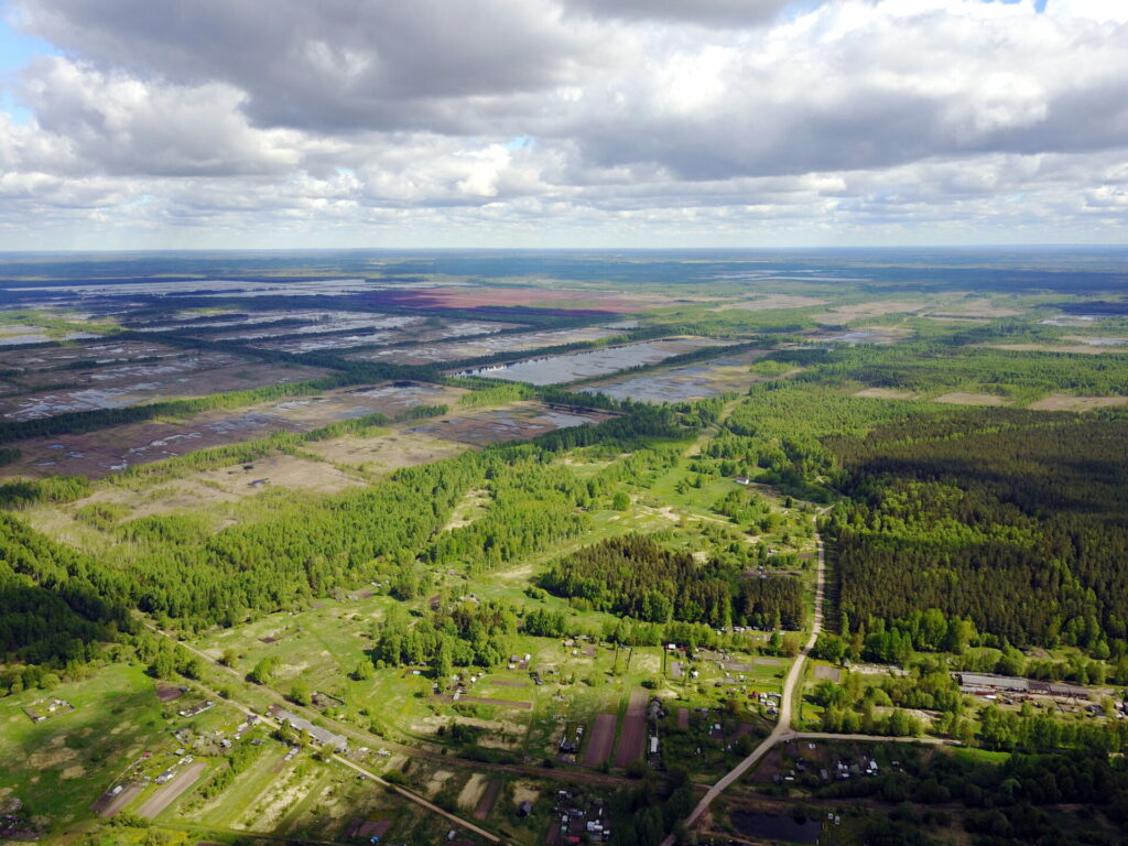 Sedas purvs (foto autors: Gints Akmentiņš)