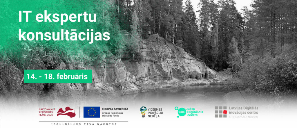 IT ekspertu konsultācijas