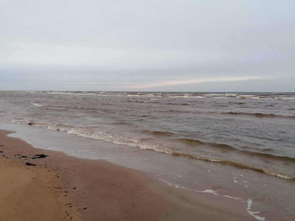 Rīgas jūras līcis