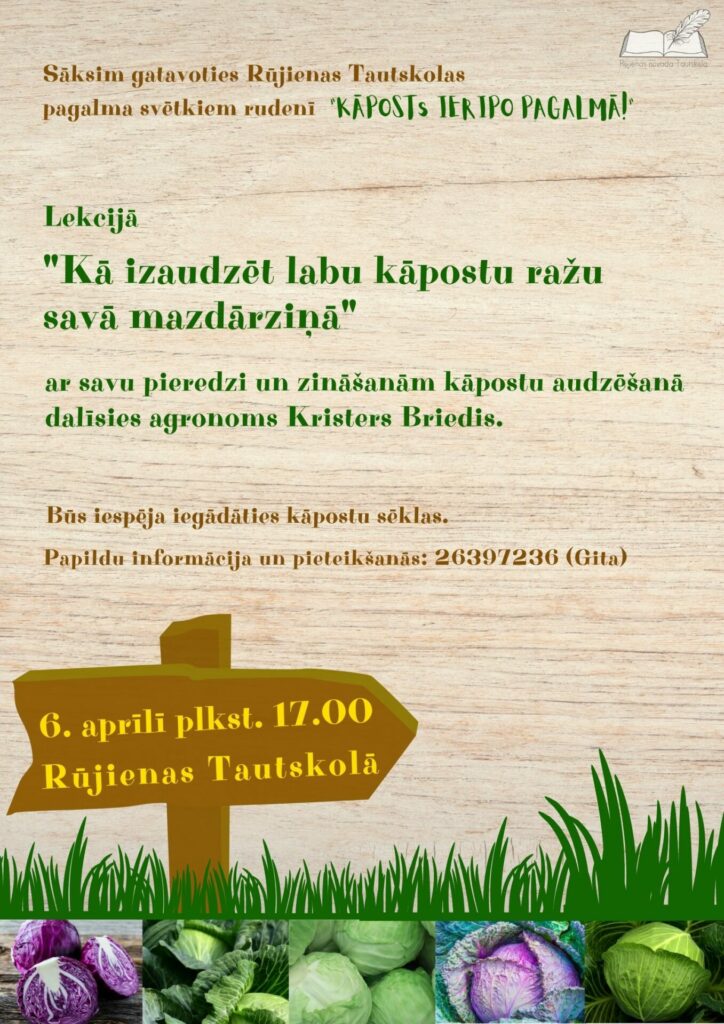 Lekcija "Kā izaudzēt labu kāpostu ražu savā mazdārziņā"