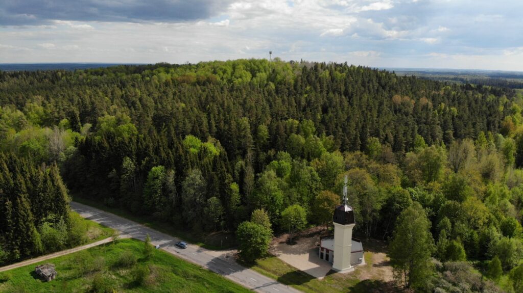 ZTornis