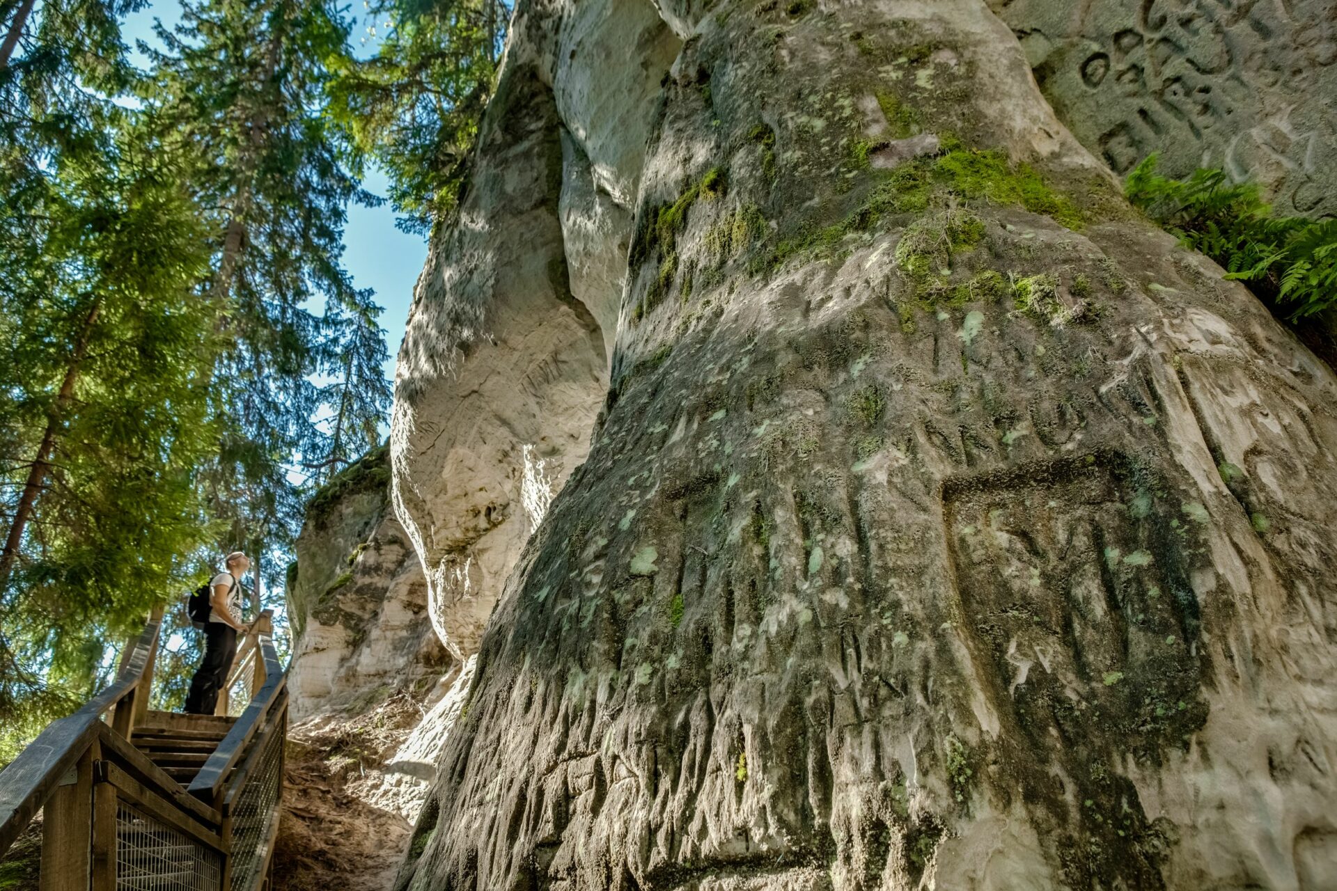 Sietiņiezis