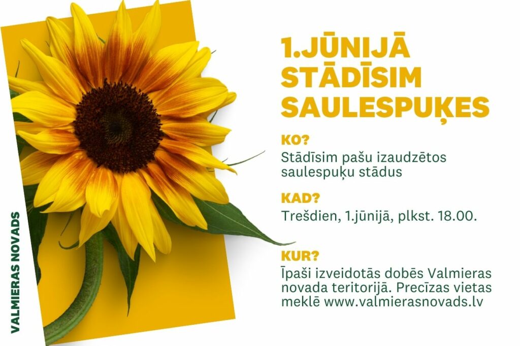 Saulespuķu stādīšanas akcijas vizuālis