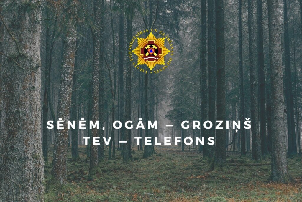 drošība mežā