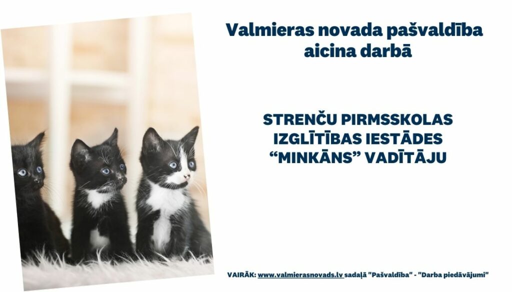 PII Minkāns vadītāja vakance