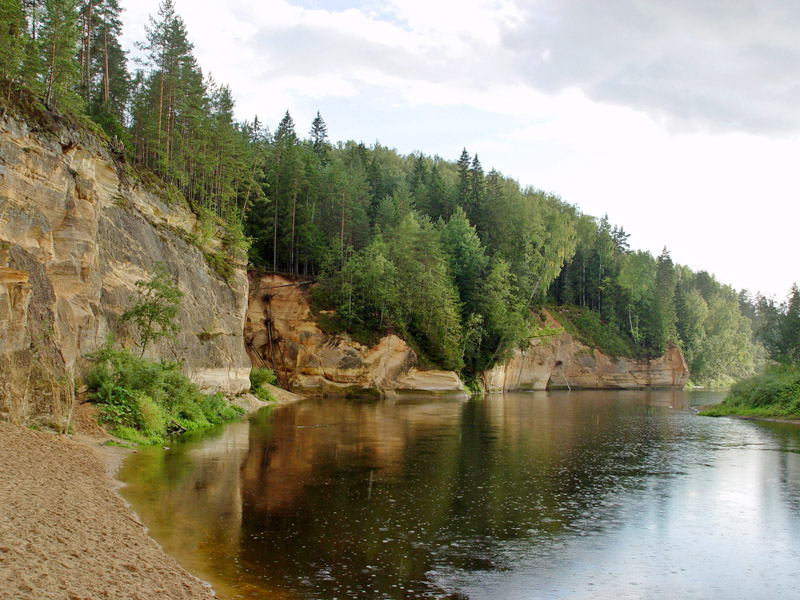 GNP