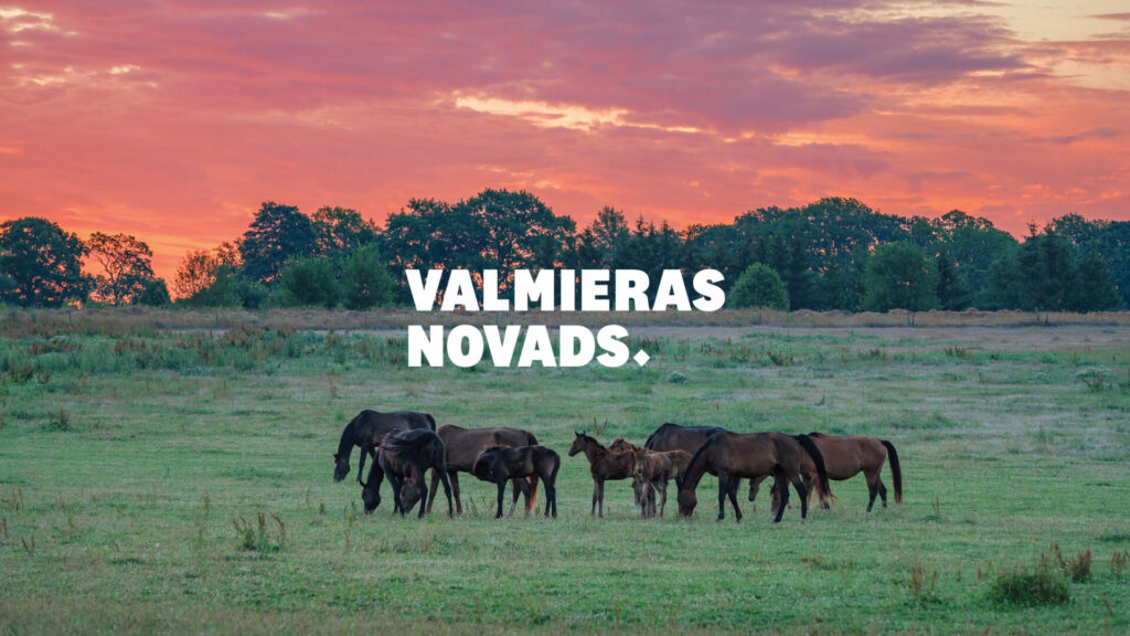 Valmieras novada vizuālā identitāte