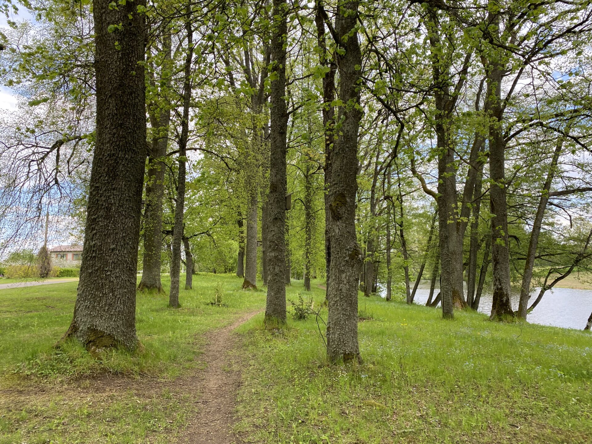 Mūrmuižas parks