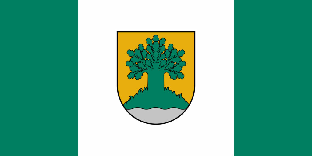 Valmieras novada karogs