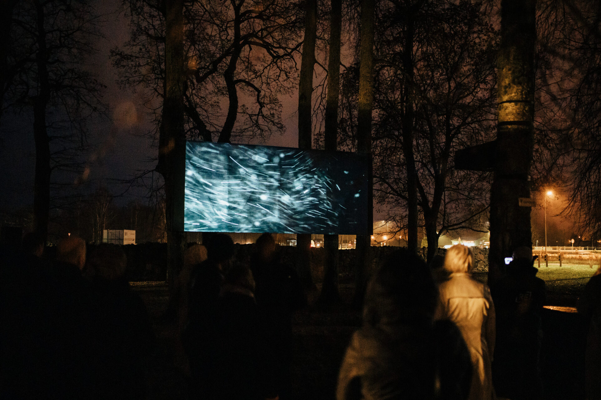 Mākslinieka Kriša Salmaņa video instalācija „Ausma”
