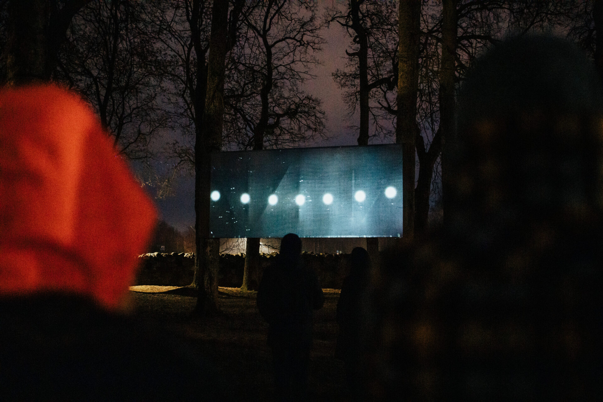 Mākslinieka Kriša Salmaņa video instalācija „Ausma”