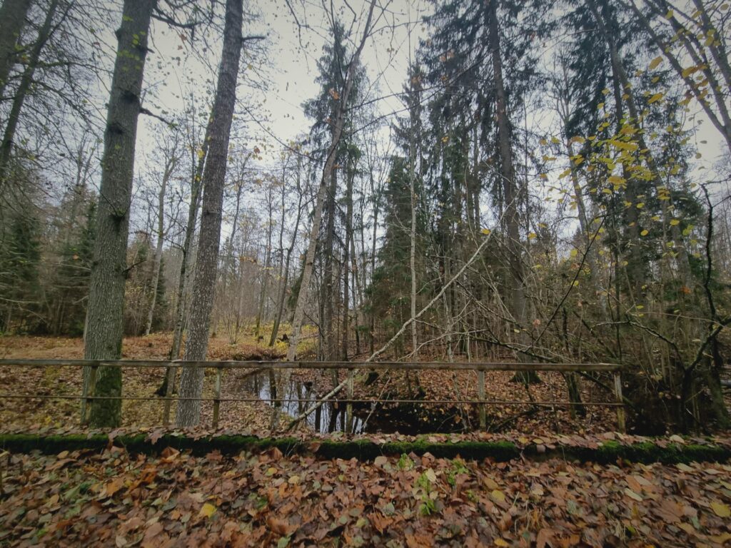 Bauņu parks