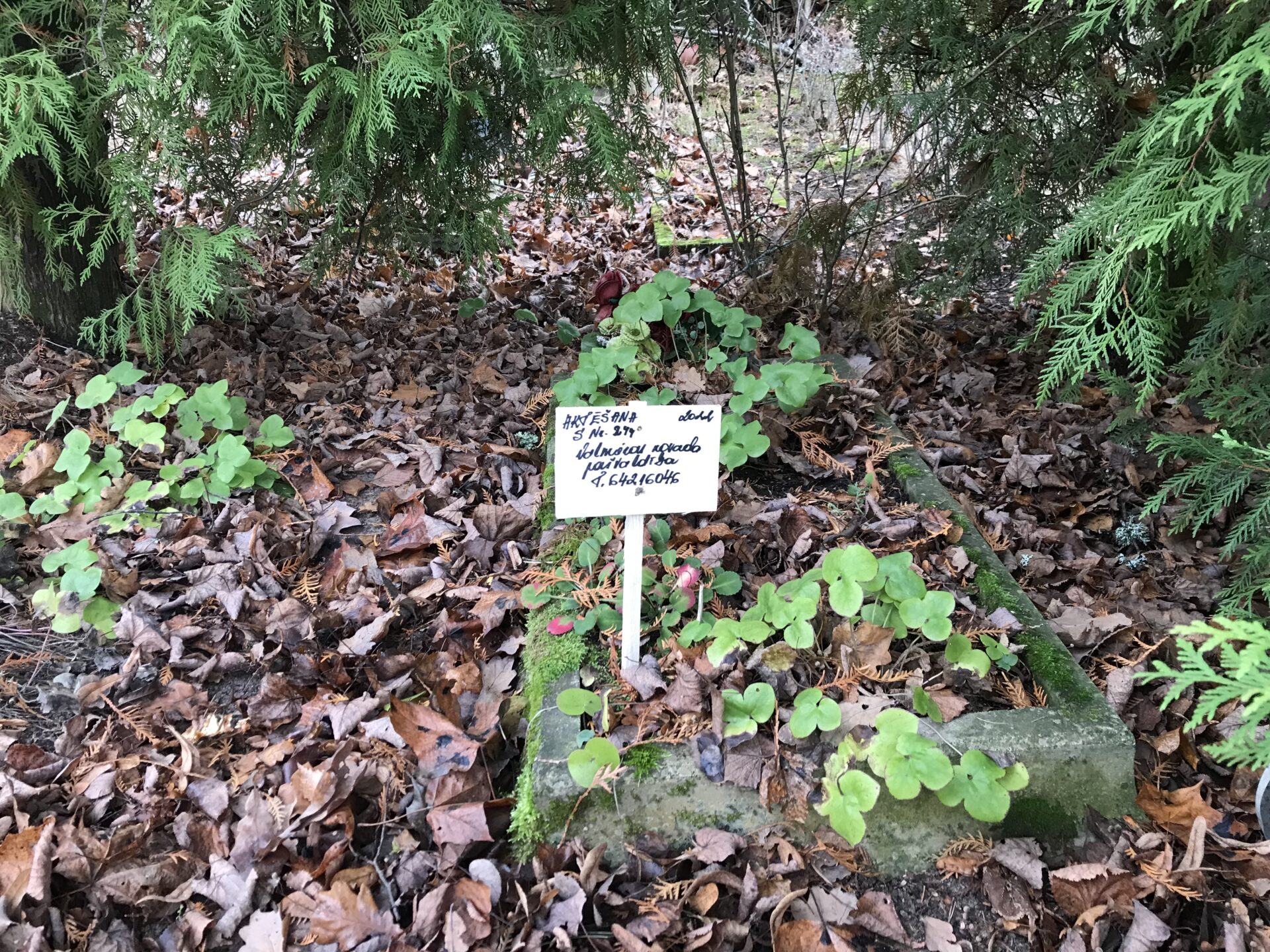 Rūjienā veikta kapavietu apsekošana