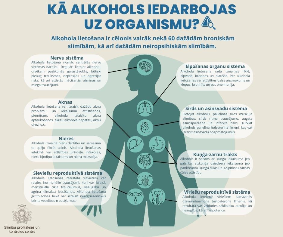 Infografika "Kā alkohols iedarbojas uz organismu?"