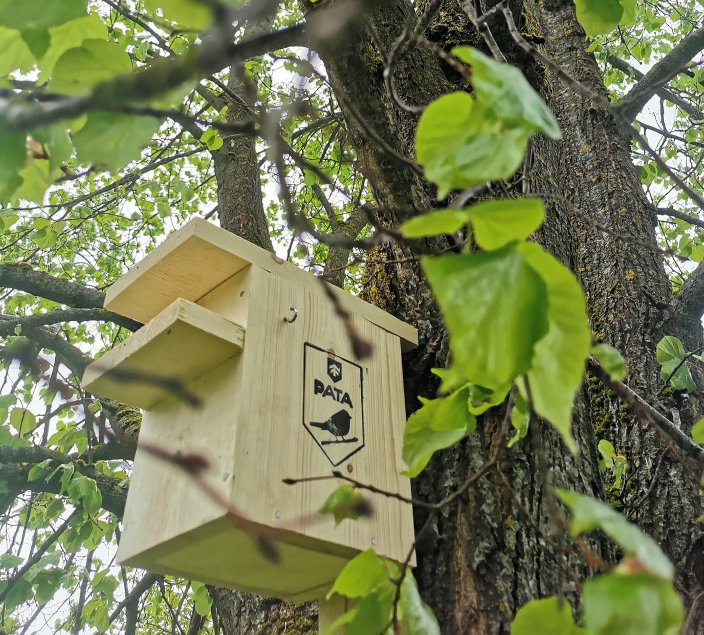 notiks putnu būrīšu gatavošanas darbnīca