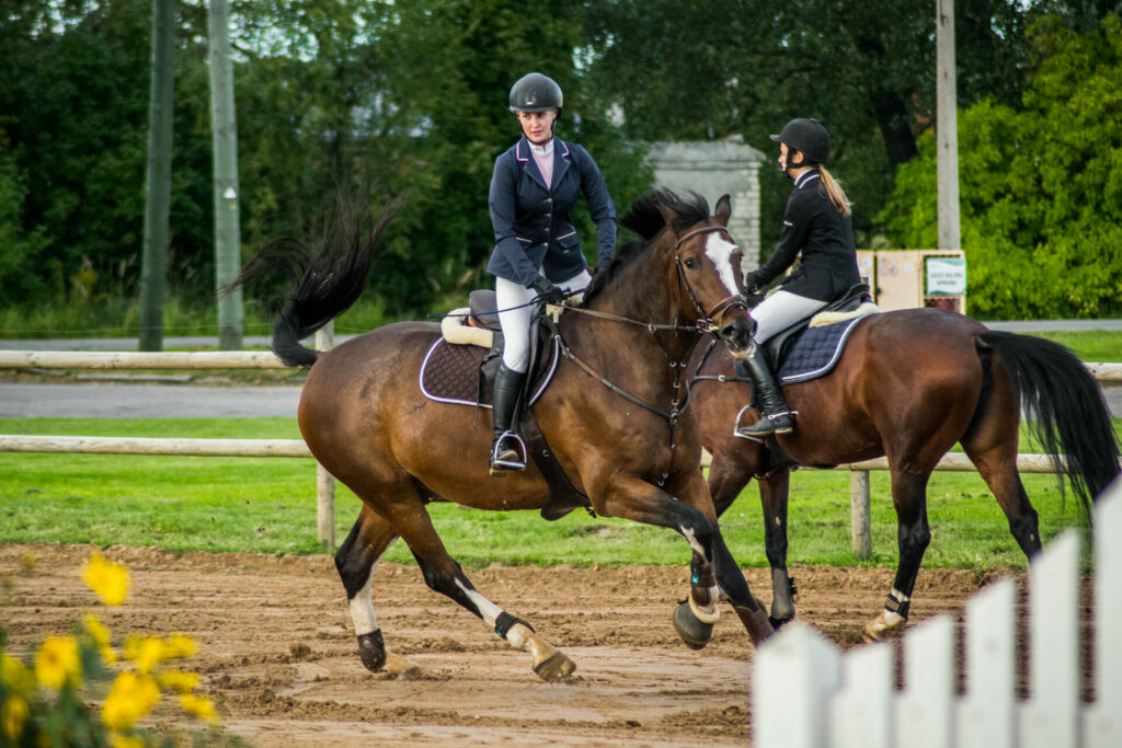 Jāšanas sporta sacensības Valmiermuižas stallī