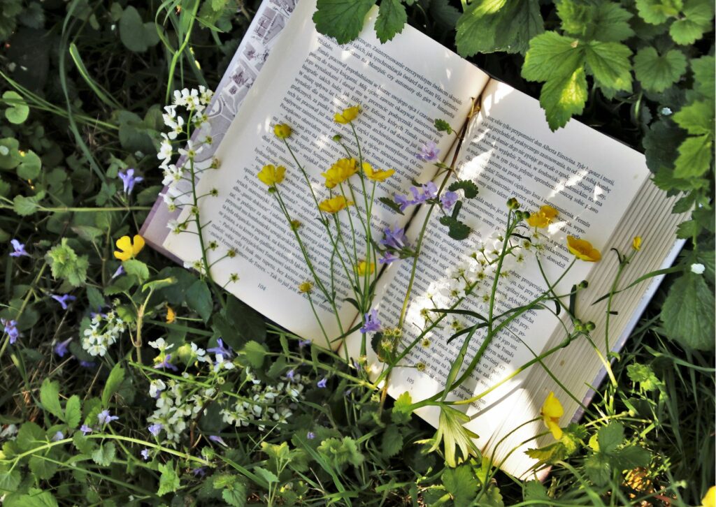 Arī šogad Valmieras bibliotēkas Bērnu apkalpošanas nodaļa aicina vasaras brīvlaiku pavadīt kopā ar mūsu draugu Zvirbuli, piedaloties lasīšanas veicināšanas programmā “Zvirbulis izvēlas profesiju”!