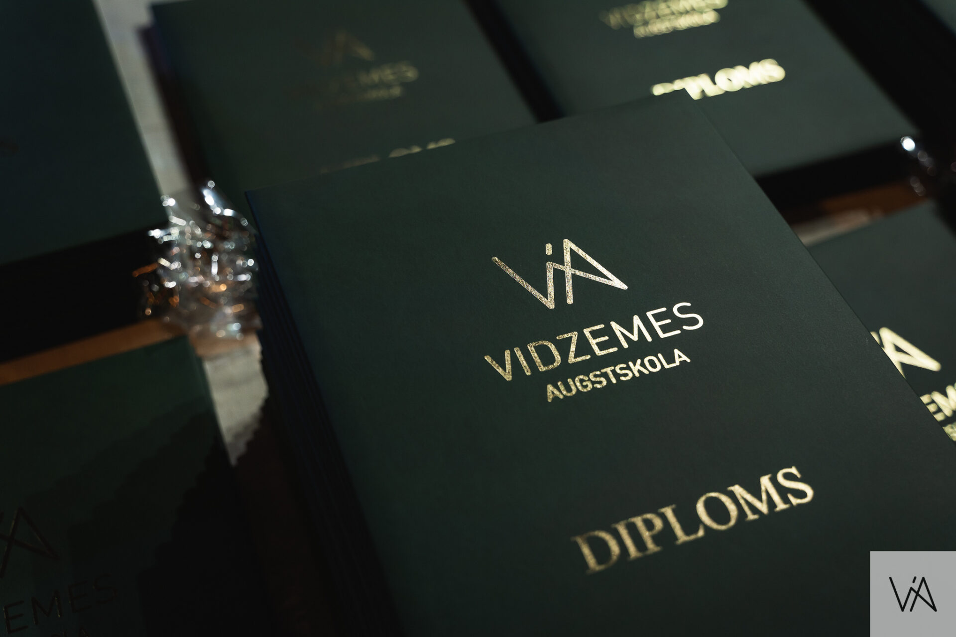 Vidzemes augstskolas diploms