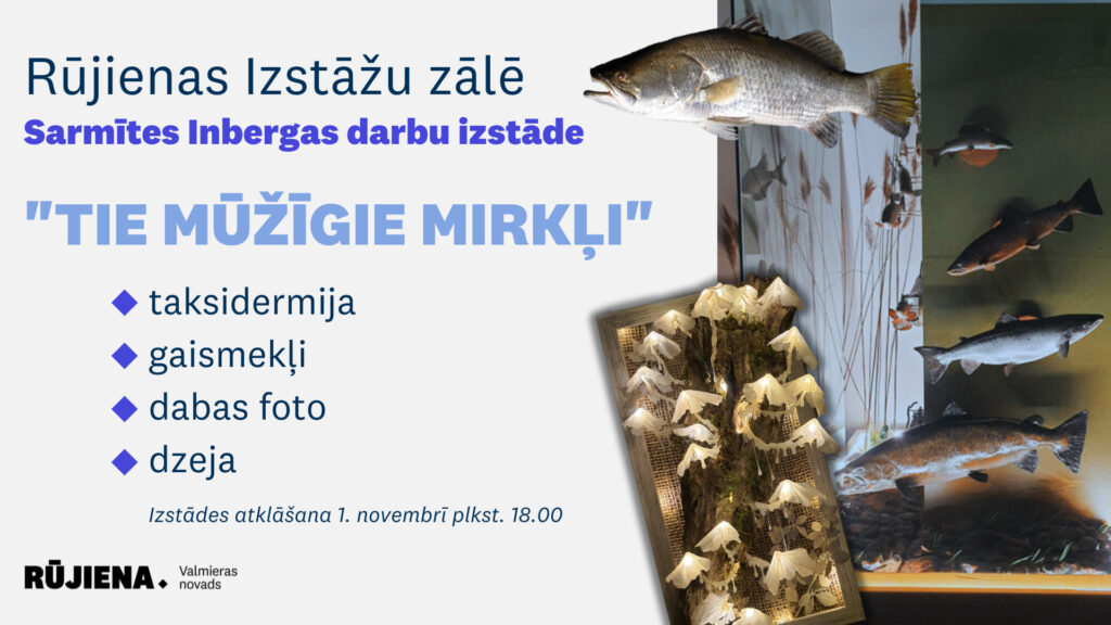 1. novembrī plkst. 18.00 Rūjienas izstāžu zālē notiks Sarmītes Inbergas mākslas darbu izstāde "Tie mūžīgie mirkļi".