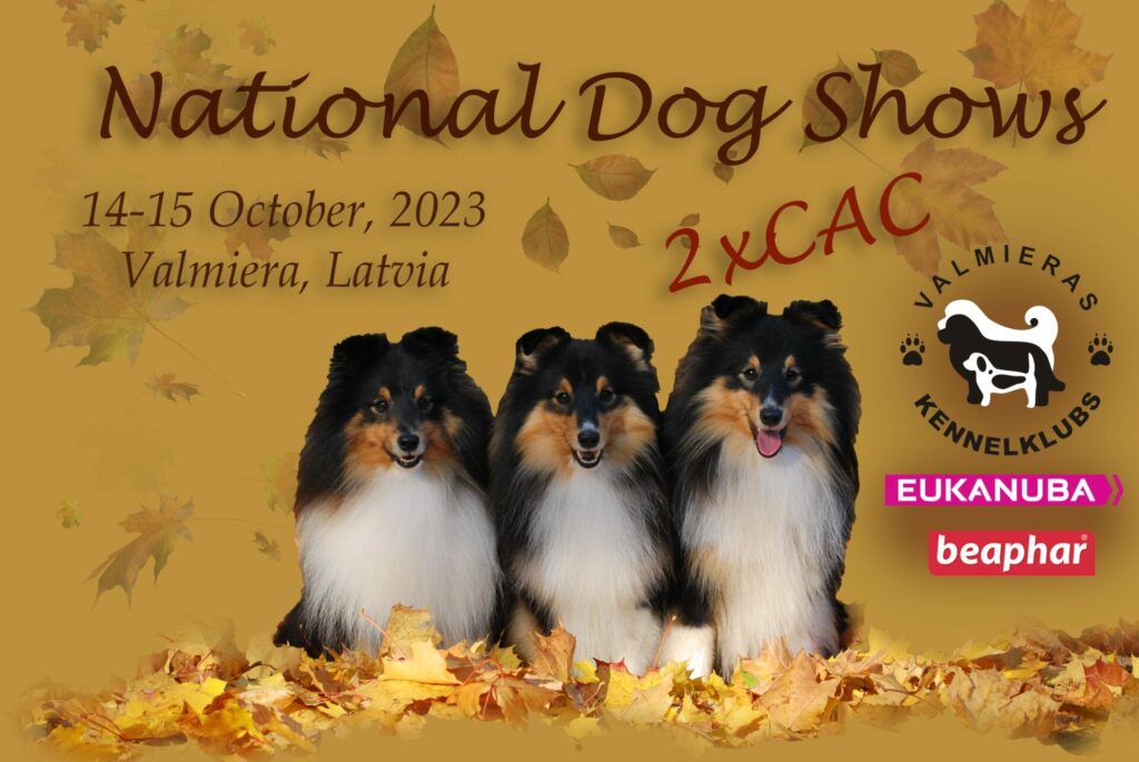 Nacionālā suņu izstāde