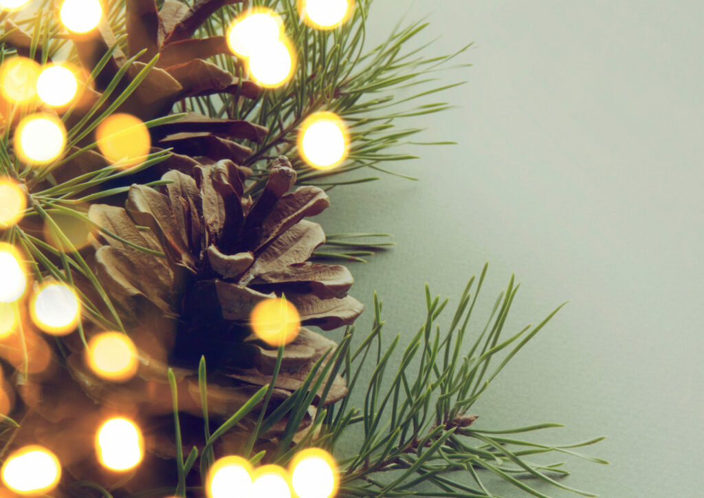 1. decembrī plkst. 18.00 Rūjienas centra laukumā norisināsies Ziemassvētku egles iedegšana kopā ar rūķiem.