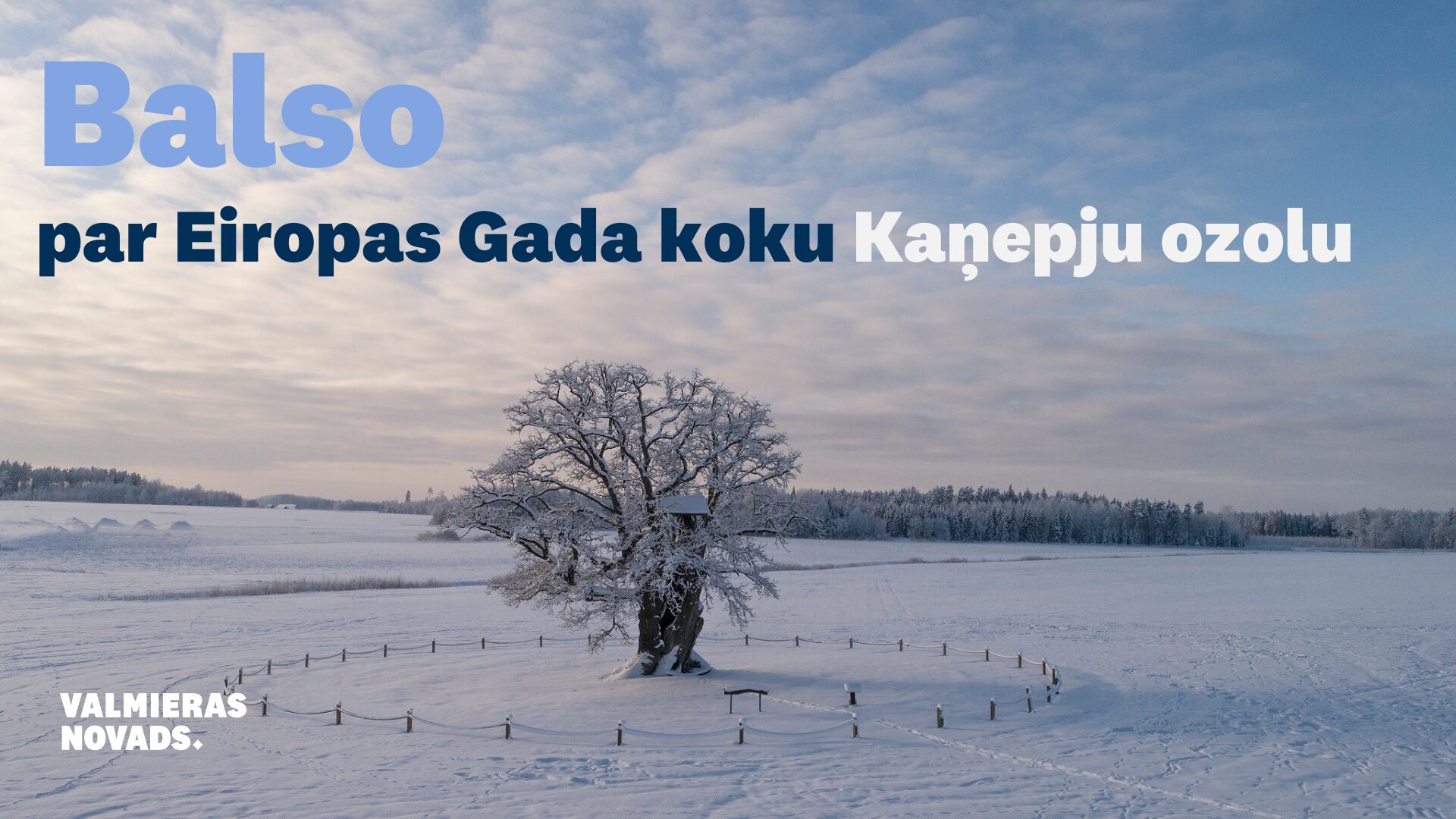 Kaņepju ozols