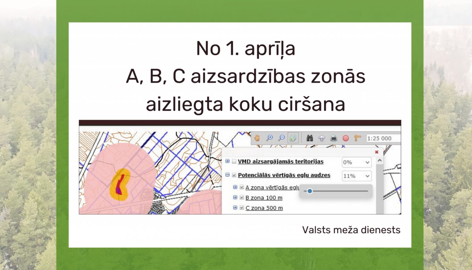 No 1.aprīļa noteiktās egļu audzēs aizliegta koku ciršana