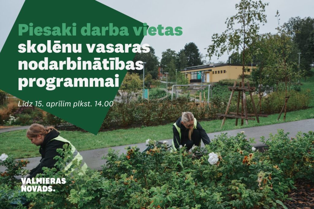 Vasaras nodarbinātības programma