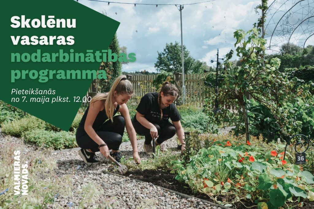 Skolēnu vasaras nodarbinātības programma