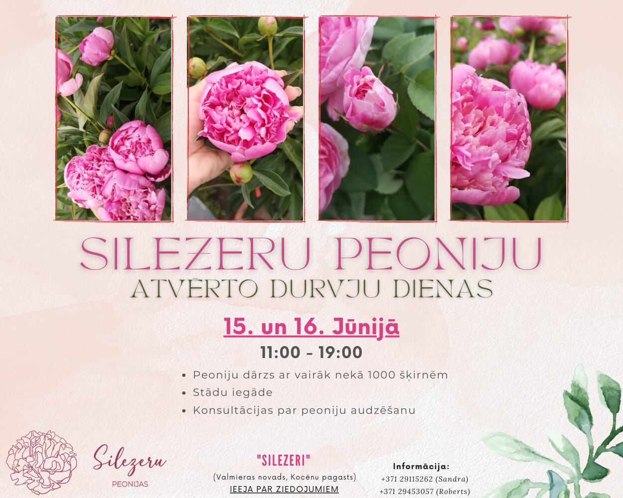 Atvērto durvju dienu "Silezeru peonijās" ilustratīvs attēls
