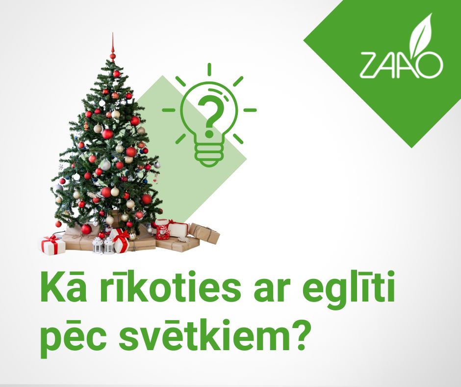 Kā rīkoties ar eglīti pēc svētkiem?