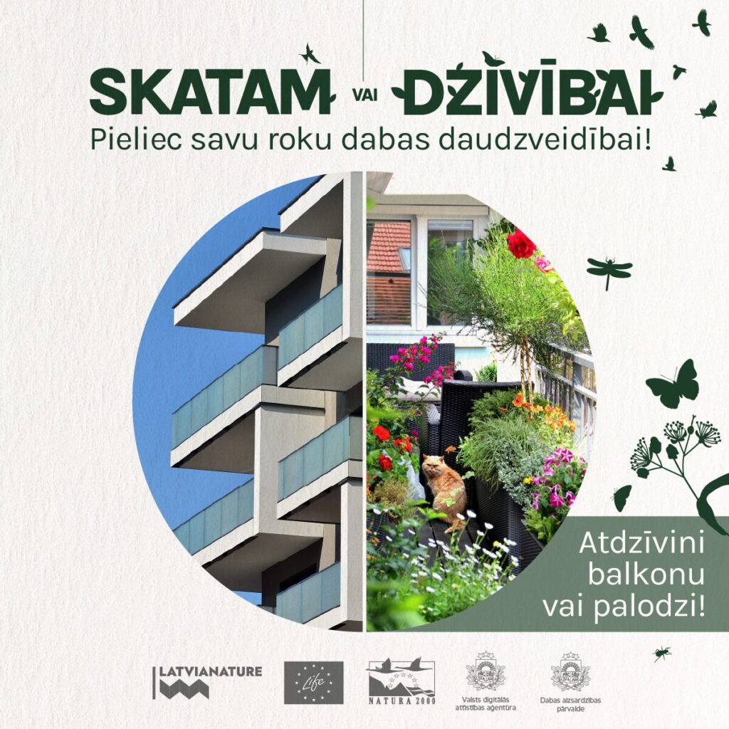 Skatam vai dzīvībai. Pieliec savu roku dabas daudzveidībai! Atdzīvini balkonu vai palodzi!