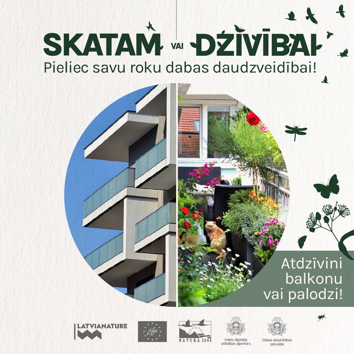 Skatam vai dzīvībai. Pieliec savu roku dabas daudzveidībai! Atdzīvini balkonu vai palodzi!