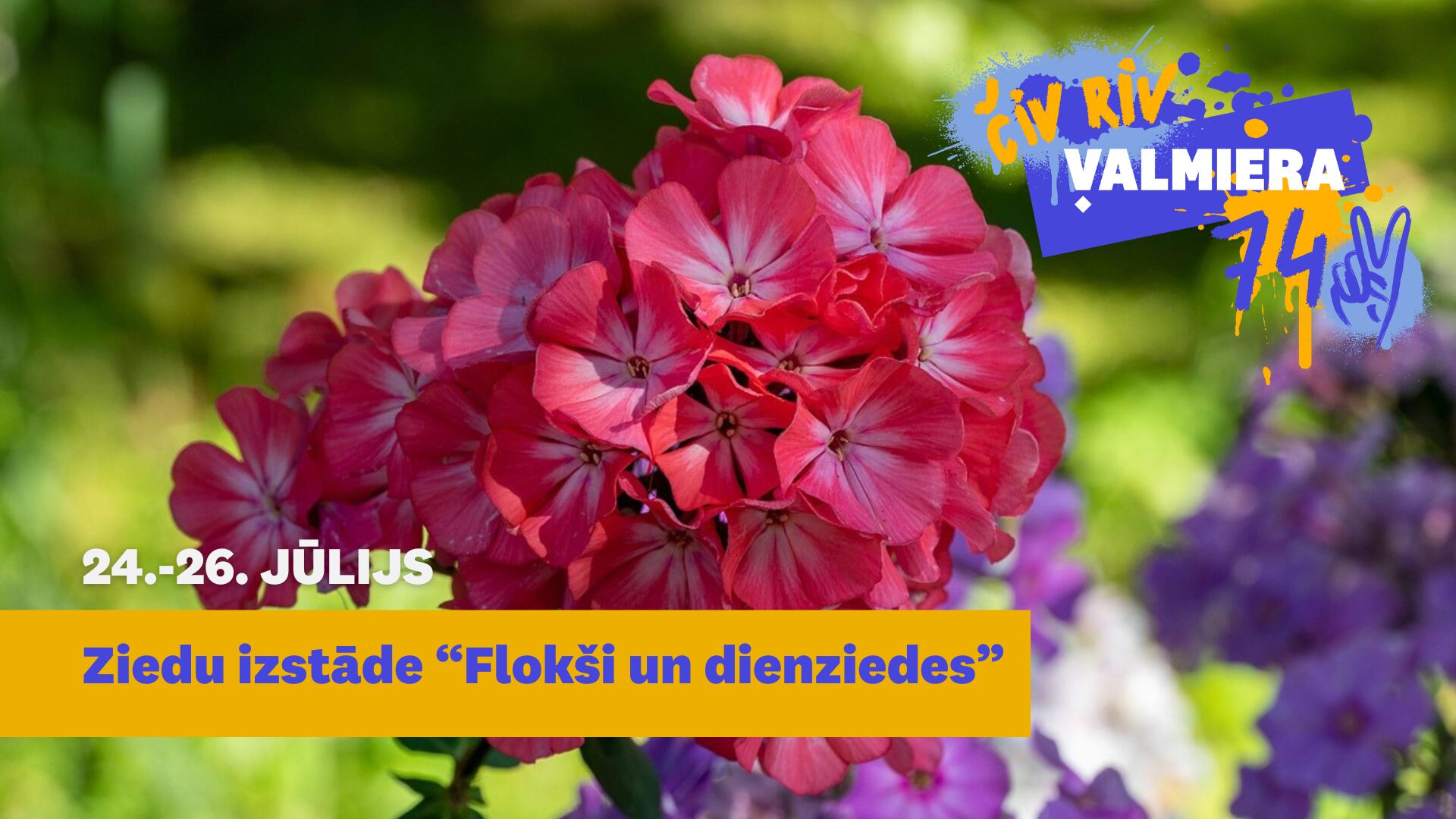 Valmieras muzeja Garšaugu dārzā būs skatāma ziedu izstāde “Flokši un dienziedes”