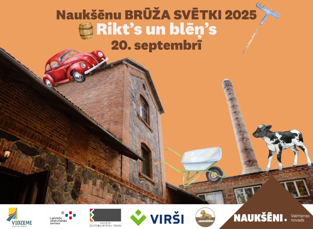Vizuālis mājaslapai Naukšēnu brūža svētkiem