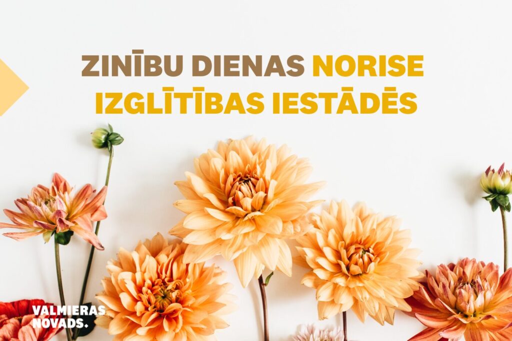 Oranžas dālijas un uzraksts "Zinību dienas norise izglītības iestādēs"