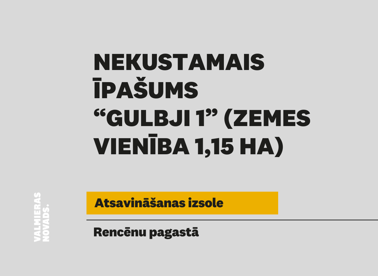 Vizuālis izsolei 