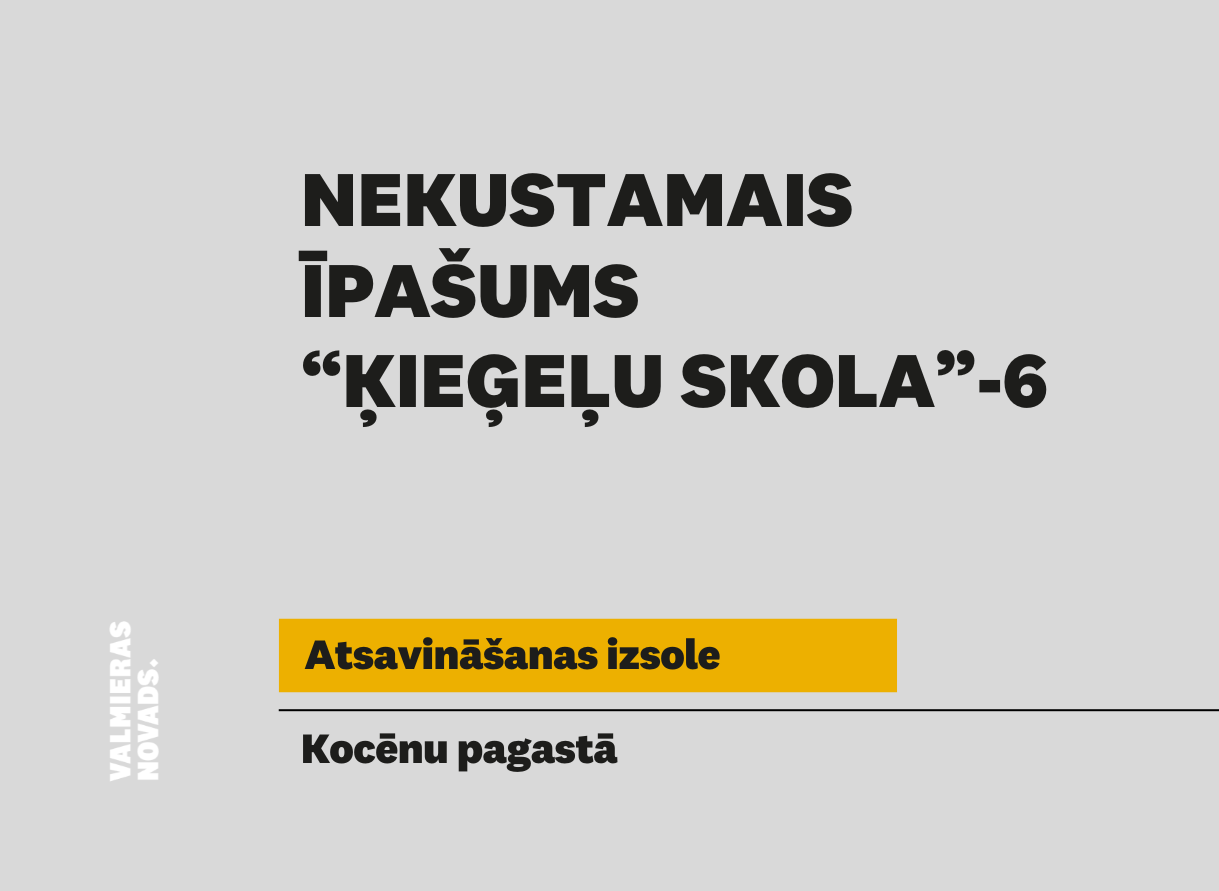Vizuālis NĪ 