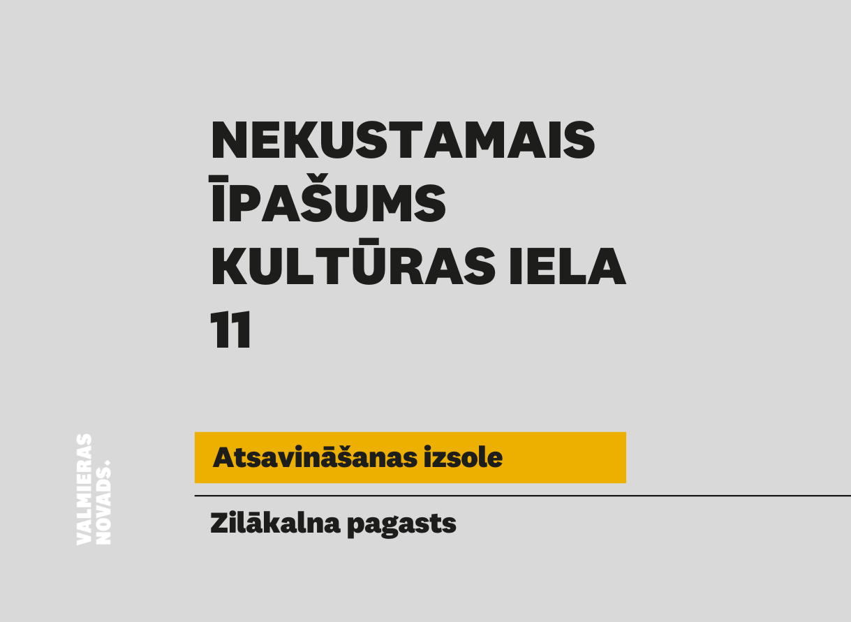 Vizuālis NĪ izsolei Kultūras iela 11, Zilaiskalns