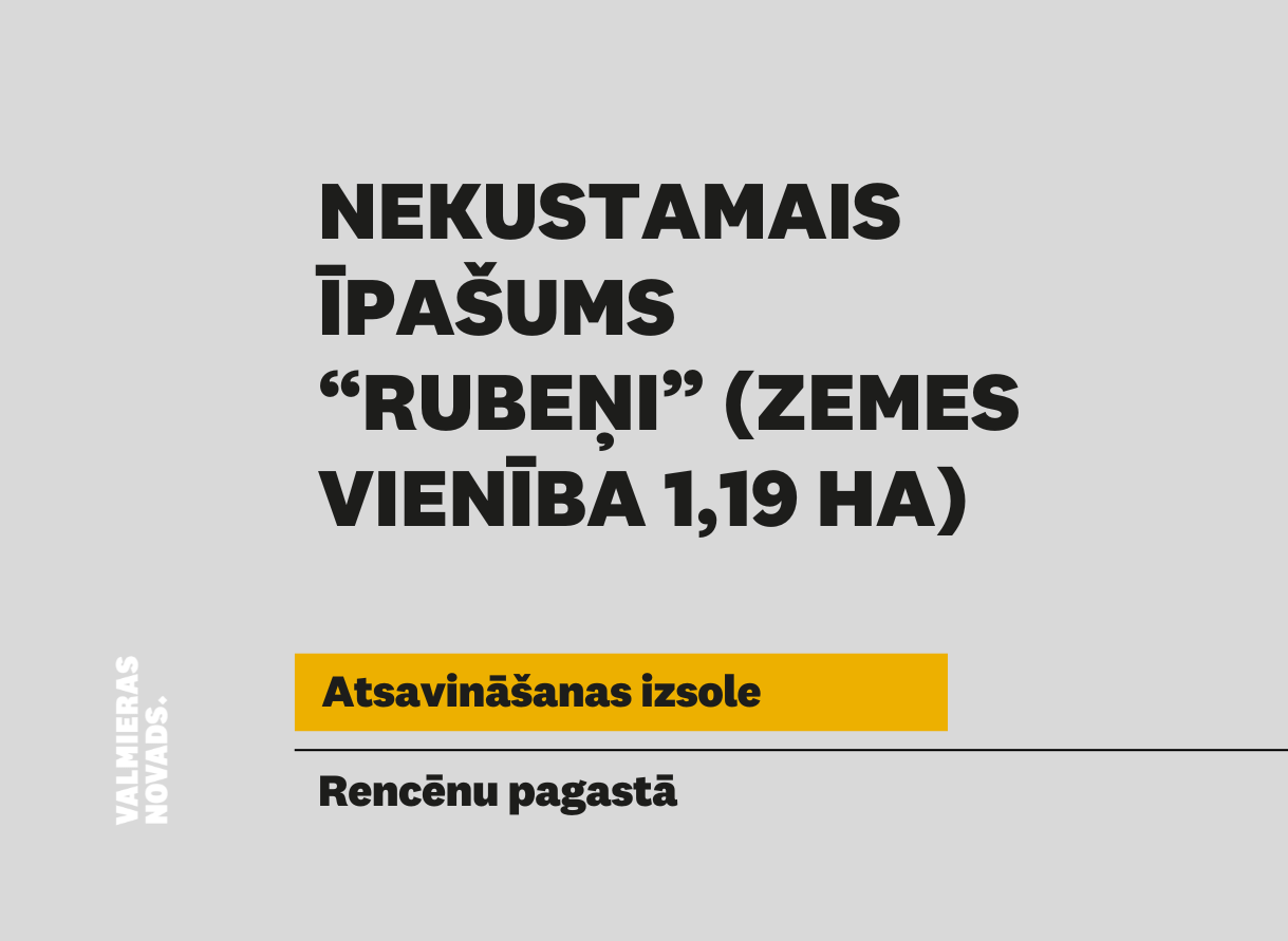 Vizuālis izsolei NĪ 