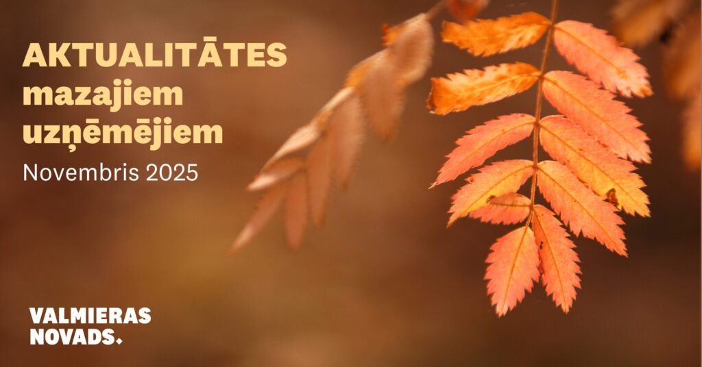 Aktualitātes mazajiem uzņēmējiem novembris 2025