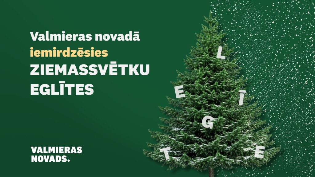 Piedzīvosim kopā Ziemassvētku eglīšu iemirdzēšanos Valmieras novadā!