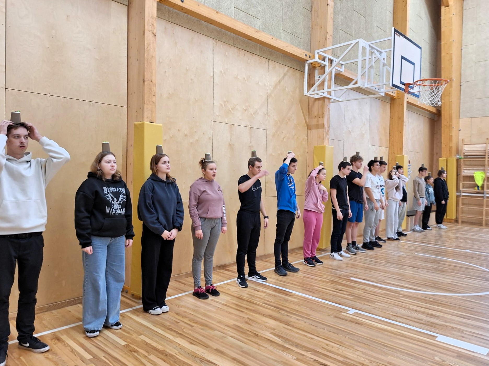 projekts “Vidusskolas jauniešu festivāliņš”