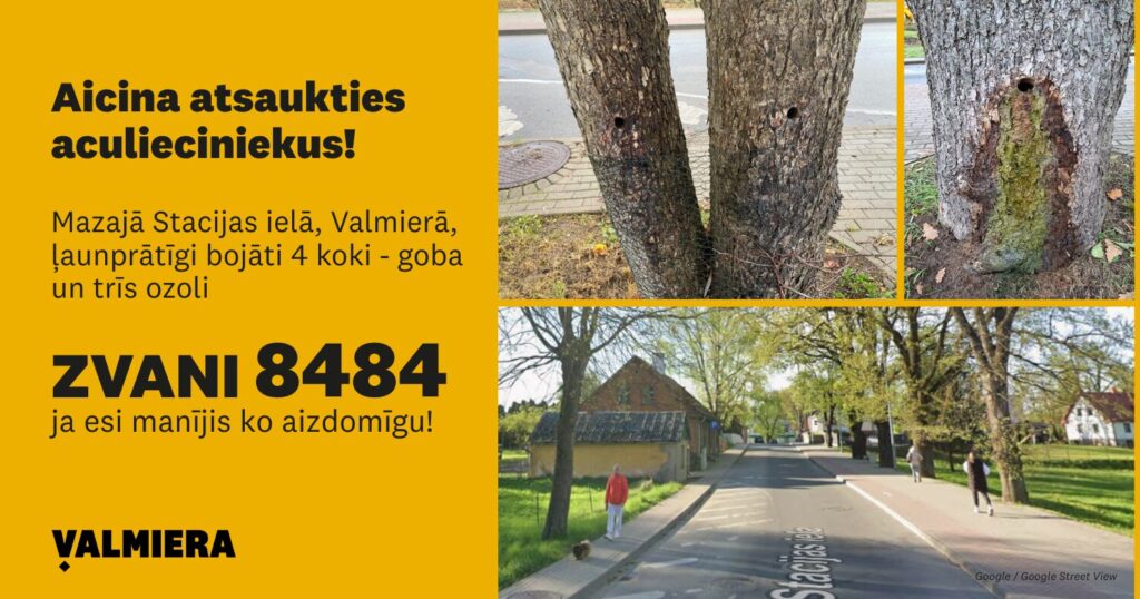 Aicina atsaukties aculieciniekus! Mazajā Stacijas ielā, Valmierā, ļaunprātīgi bojāti 4 koki - goba un trīs ozoli Zvani 8484, ja esi redzējis ko aizdomīgu! Balkus tekstam - attēls ar kokiem